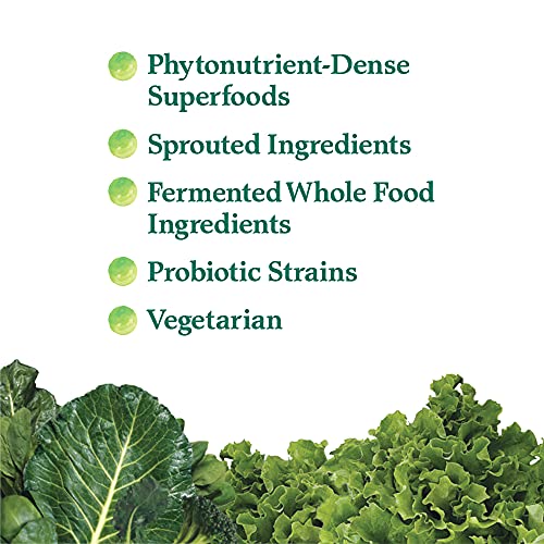 Garden of Life Perfect Food Super Green Formula - 14 Servings | 45 Superfoods, Greens Garden of LifeBuy Supplements Australia