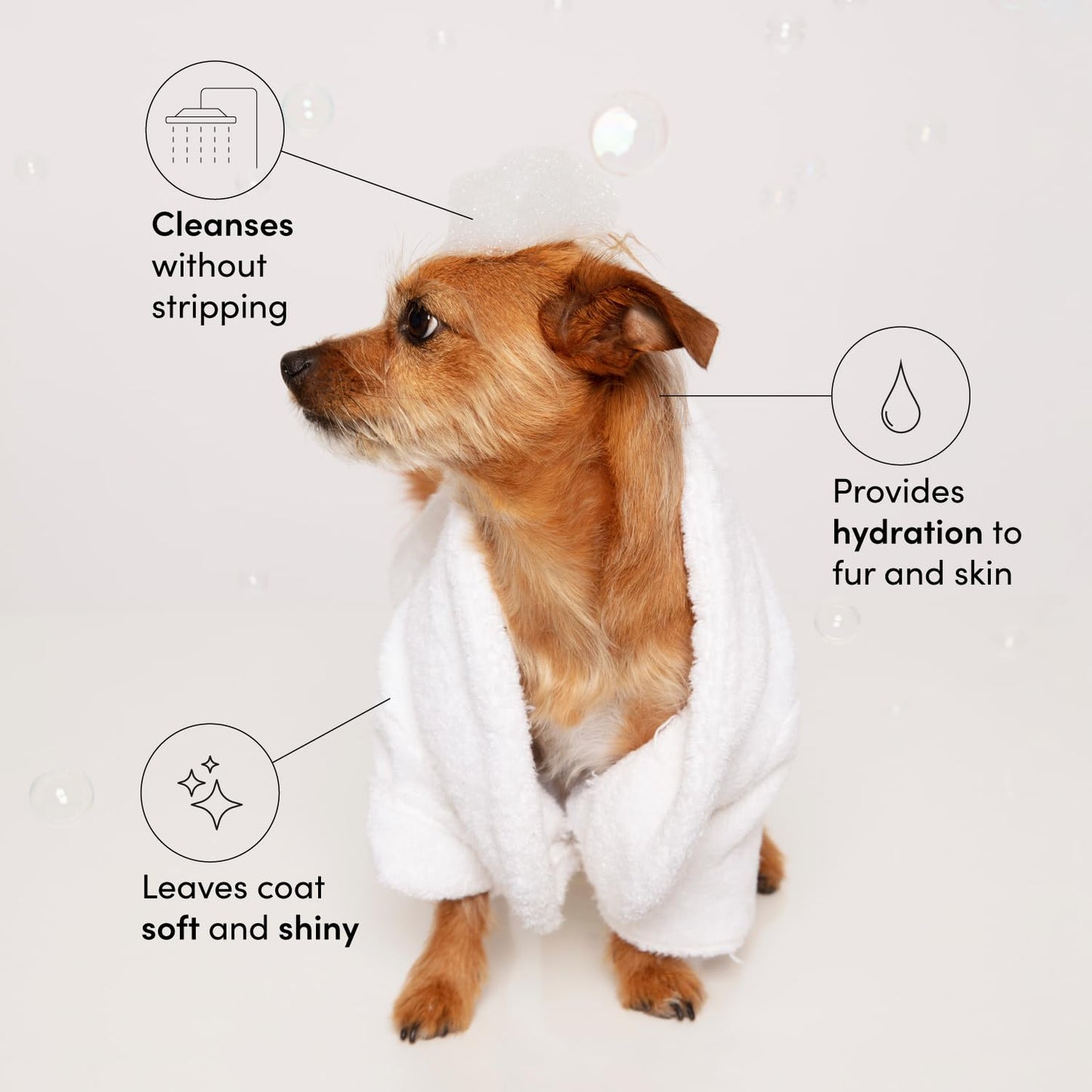 OUAI Fur Bébé Pet Shampoo, Mercer Street Scent - Dog Shampoo and Coat Wash for Hydrating, Cleansing and Adding Shine - Pet Supplies by OUAI (16 Fl Oz) OUAIBuy Supplements Australia