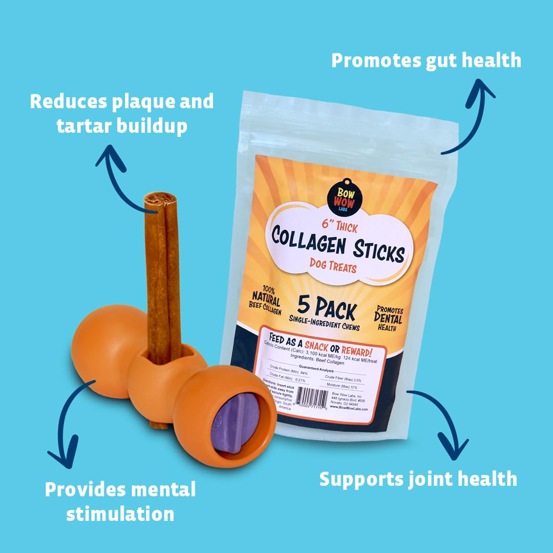 Bow Wow Labs 12" SafeFit Collagen Sticks for Dogs 5 Pack/Jumbo – All-Natural Chews for Joint, Gut, Bone & Oral Health Bow Wow LabsBuy Supplements Australia