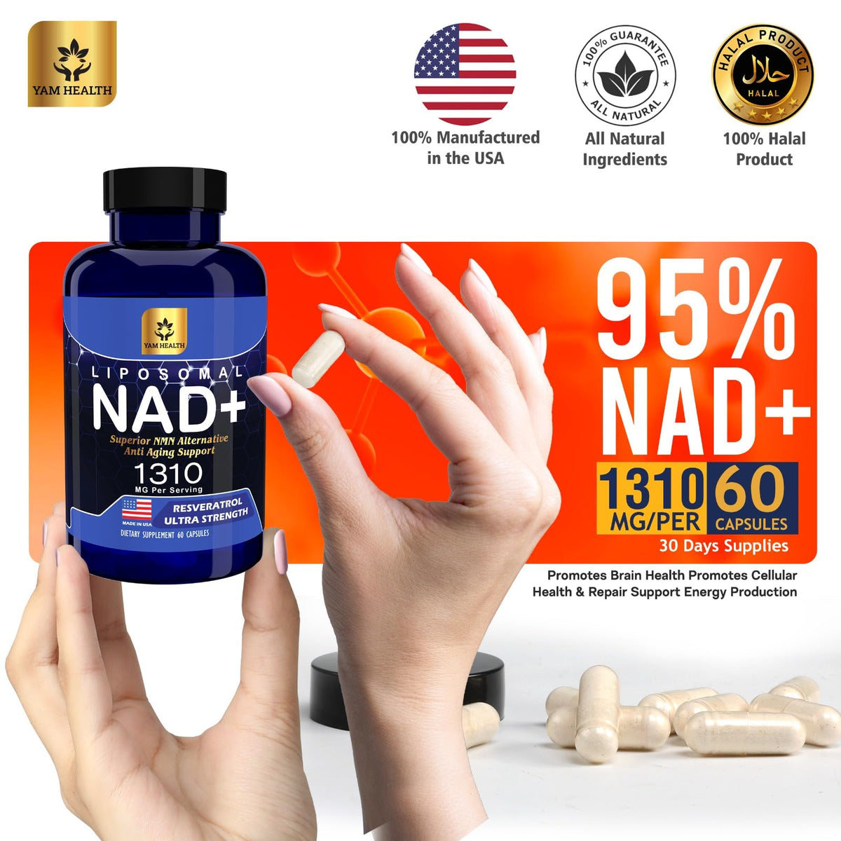 YAM Health Liposomal NAD Nicotinamide Riboside Equivalent with Trans-Resveratrol 300mg, Premium Halal NAD Supplement for Energy Metabolism, DNA Repair and Longevity, Vegan, Non-GMO (60 Count) YAM HealthBuy Supplements Australia