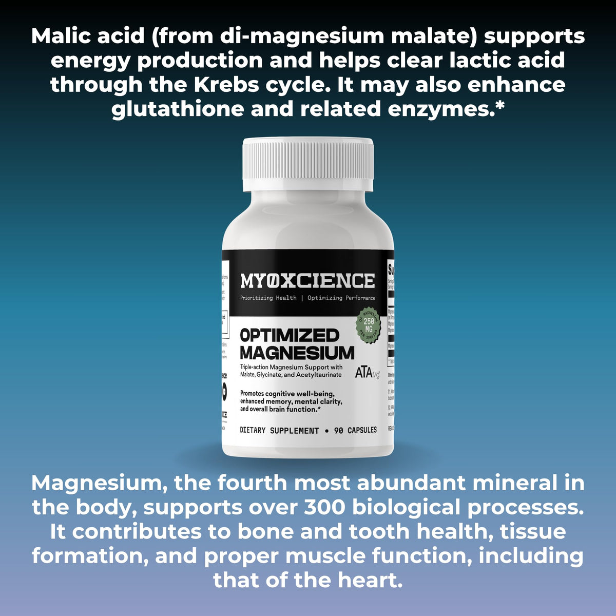 MYOXCIENCE Optimized Magnesium Glycinate + Magnesium Taurate (as ATAmag®) for High Brain Bioavailability to Support Stress Relief and Sleep | 30 Servings MYOXCIENCE buy supplements Au