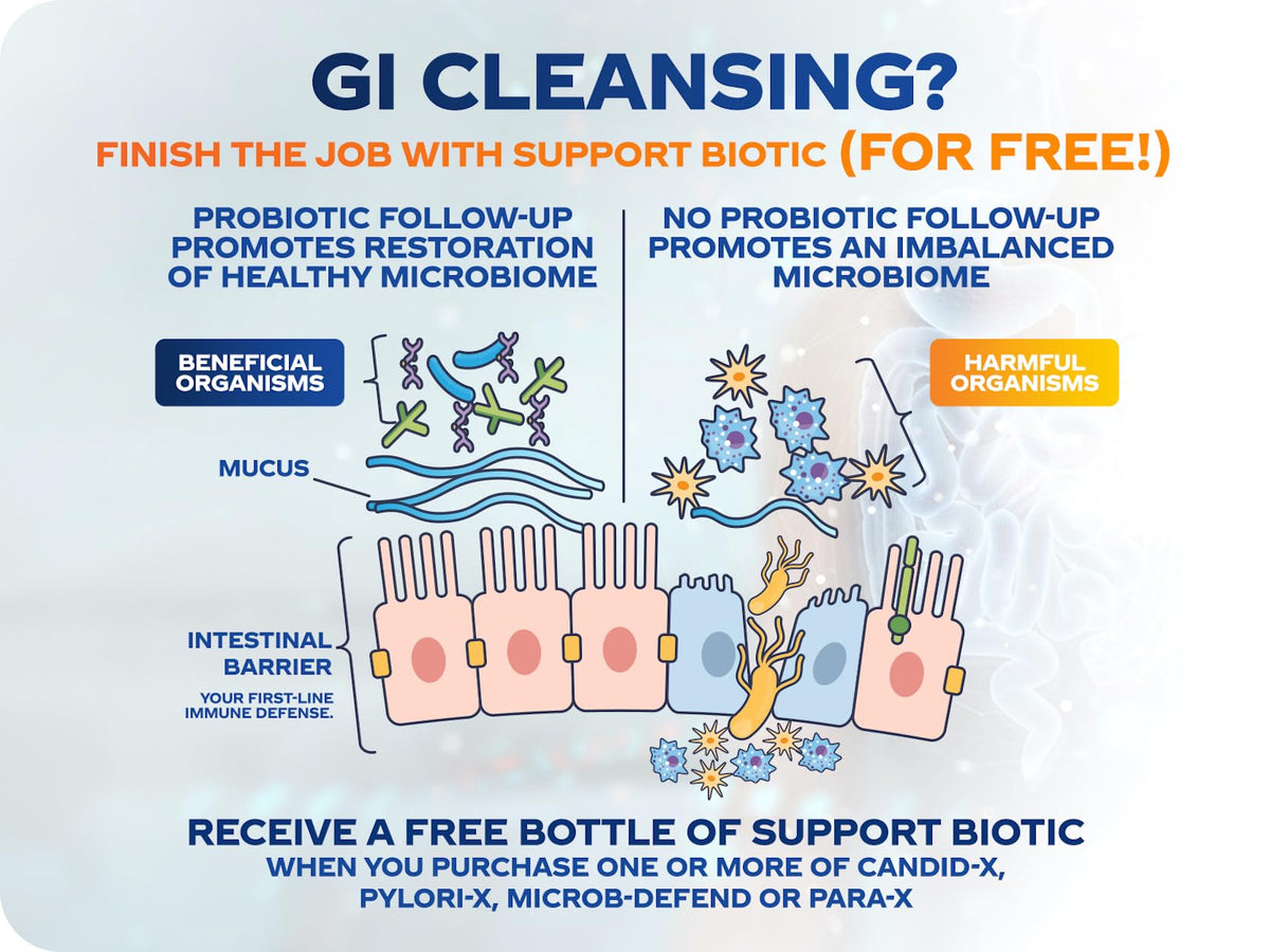 BioMatrix Candid-X Gut Cleanse with Berberine, Oregano, Sodium Caprylate, Chamomile, Ginger BioMatrixBuy Supplements Australia