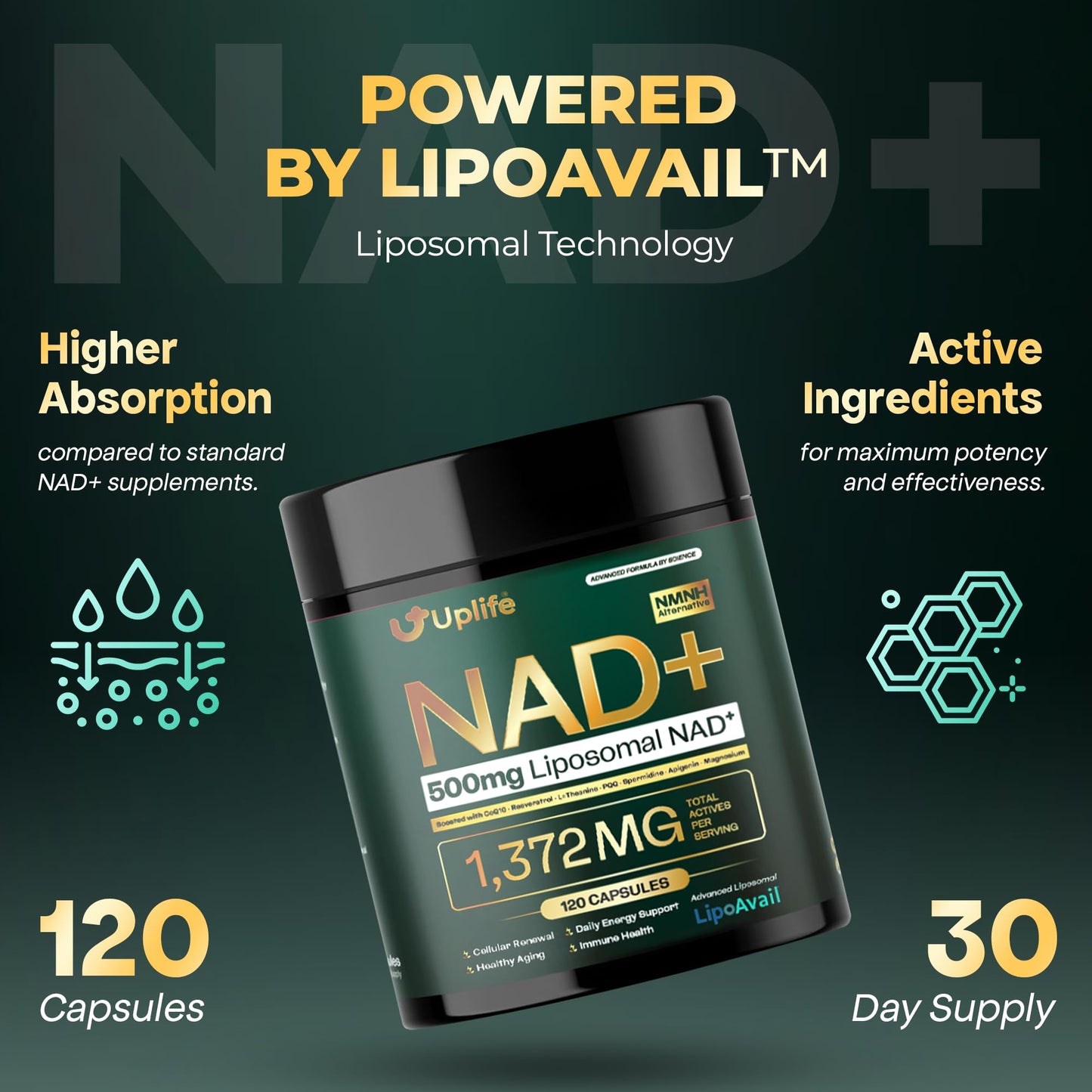UPLIFE NAD+ Supplement 1,372mg – Liposomal NAD+ with CoQ10, Resveratrol, Spermidine, L-Theanine, Apigenin & PQQ – NMNH Alternative Booster Cellular Energy, Healthy Aging, Immune Health – 120 Capsules UPLIFEBuy Supplements Australia