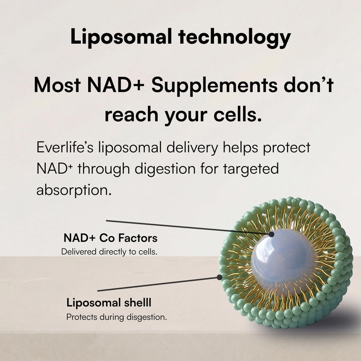 Everlife Liposomal NAD+ Liquid Supplement – 150mg Shot with Liposomal Trans-Resveratrol, TMG & Glycine – Boosts Energy, Cellular Repair, Healthy Aging & Longevity – NMNH Alternative – 30 Servings EverlifeBuy Supplements Australia