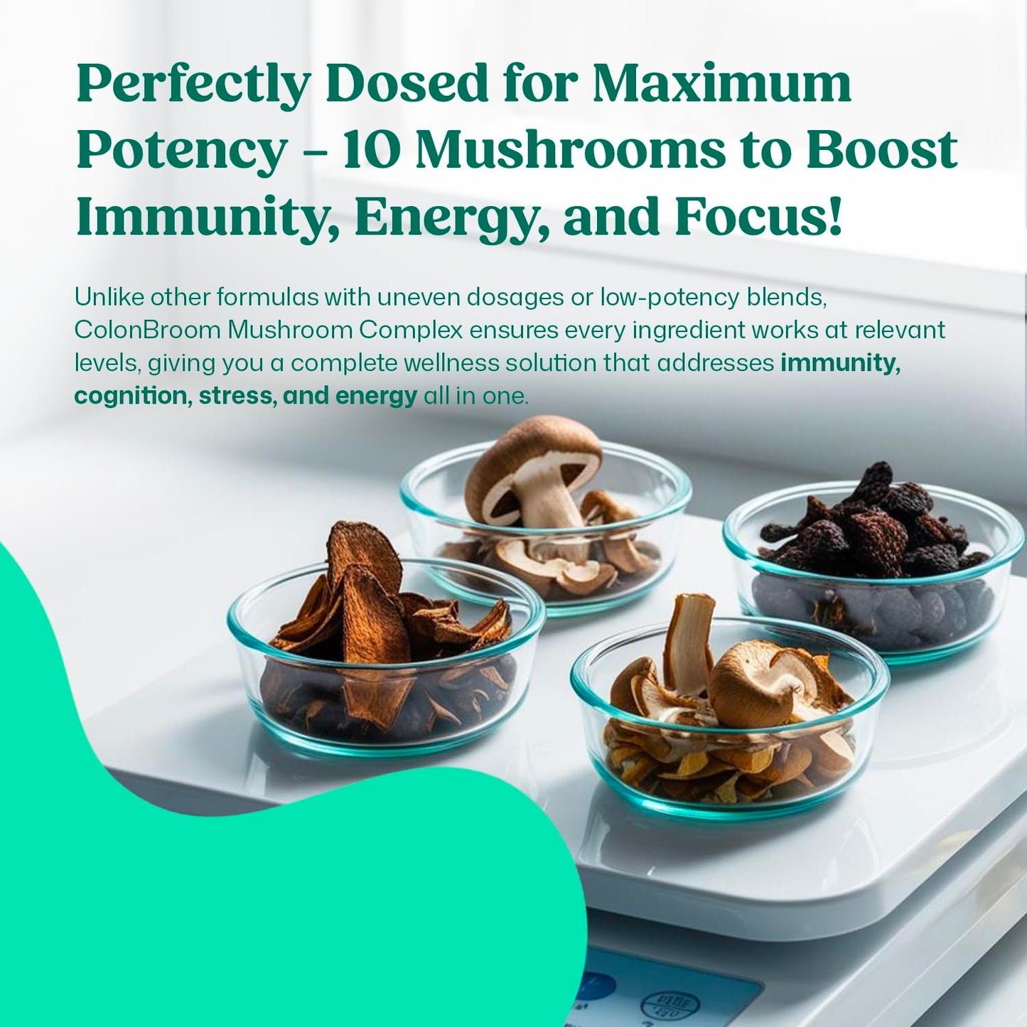 ColonBroom Mushroom Complex, Powerful Mushroom Blend with Cordyceps, Reishi, Shiitake, Lion’s Mane Extract for Energy, Immunity, Stress Relief & Cognitive Health - 60 Capsules, 30 Day Supply ColonBroomBuy Supplements Australia
