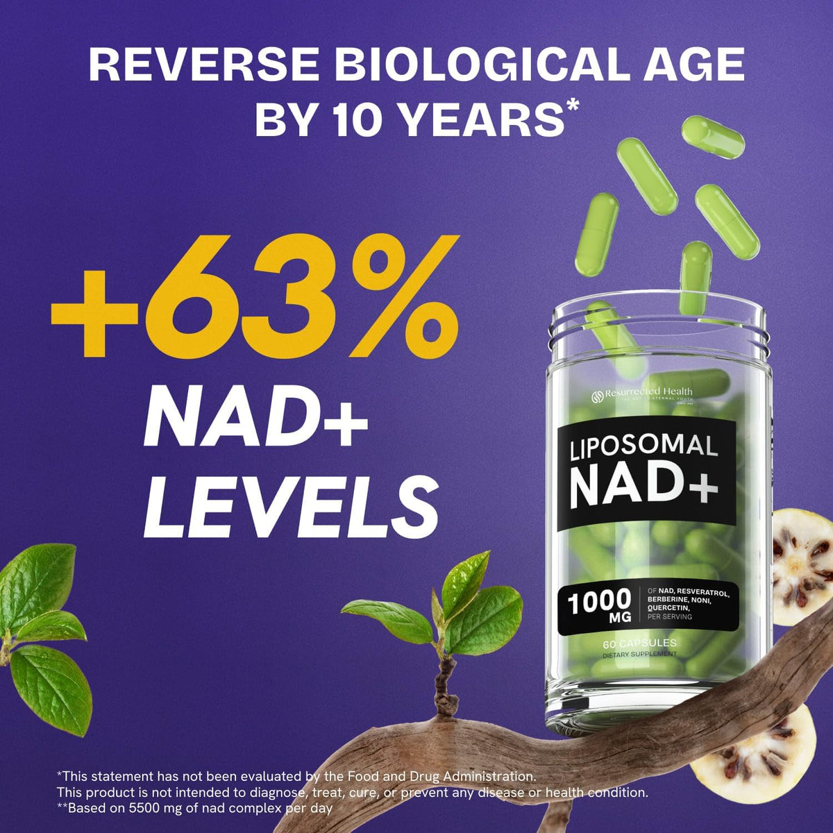 Liposomal NAD Supplement for Women w/Noni | 5-in-1 NAD Resveratrol Supplement w/Berberine & Quercetin | Pure NMN Powder Alternative | Supports Anti Aging & NAD+ Levels | 60 caps - 1 Pack Resurrected HealthBuy Supplements Australia