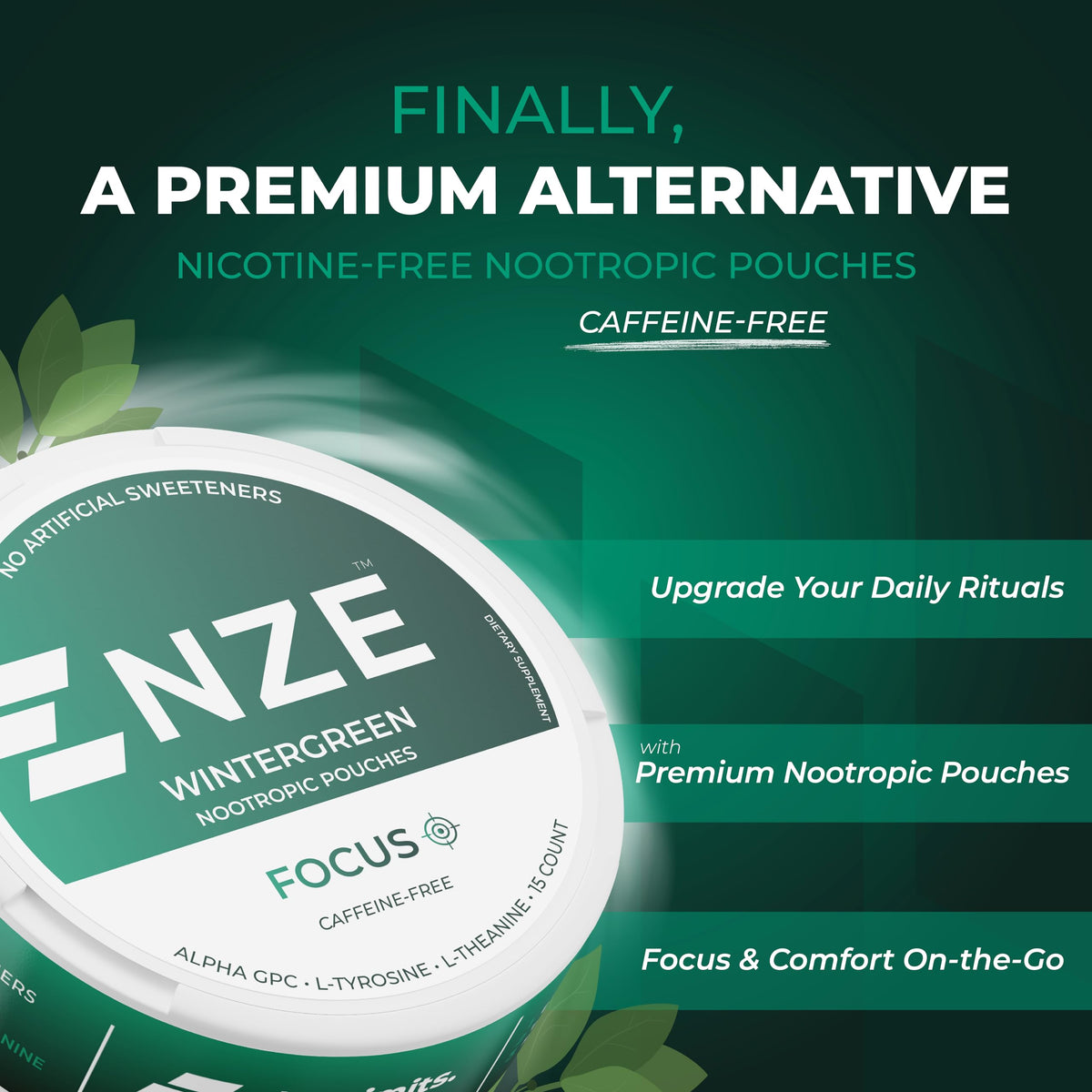 NZE Caffeine Free Nootropic Pouches (Wintergreen) - Nootropic Pouches with Alpha GPC, L-Tyrosine & L-Theanine - No Sugar or Artificial Sweeteners - 15 Pouches Per Can - 5 Pack NZEBuy Supplements Australia