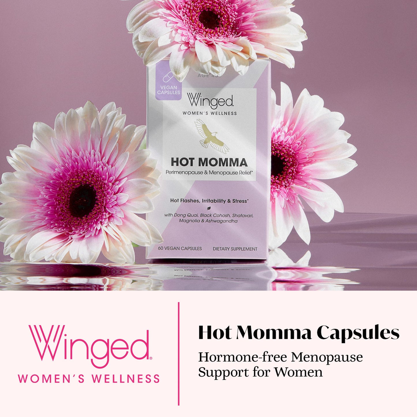 Winged Wellness Hot Momma Menopause Supplements for Women - Hormone-Free Menopause Relief Support for Hot Flashes & Night Sweats with Chaste Tree Berry, Multivitamins & Shatavari - 60 Vegan Capsules Winged WellnessBuy Supplements Australia