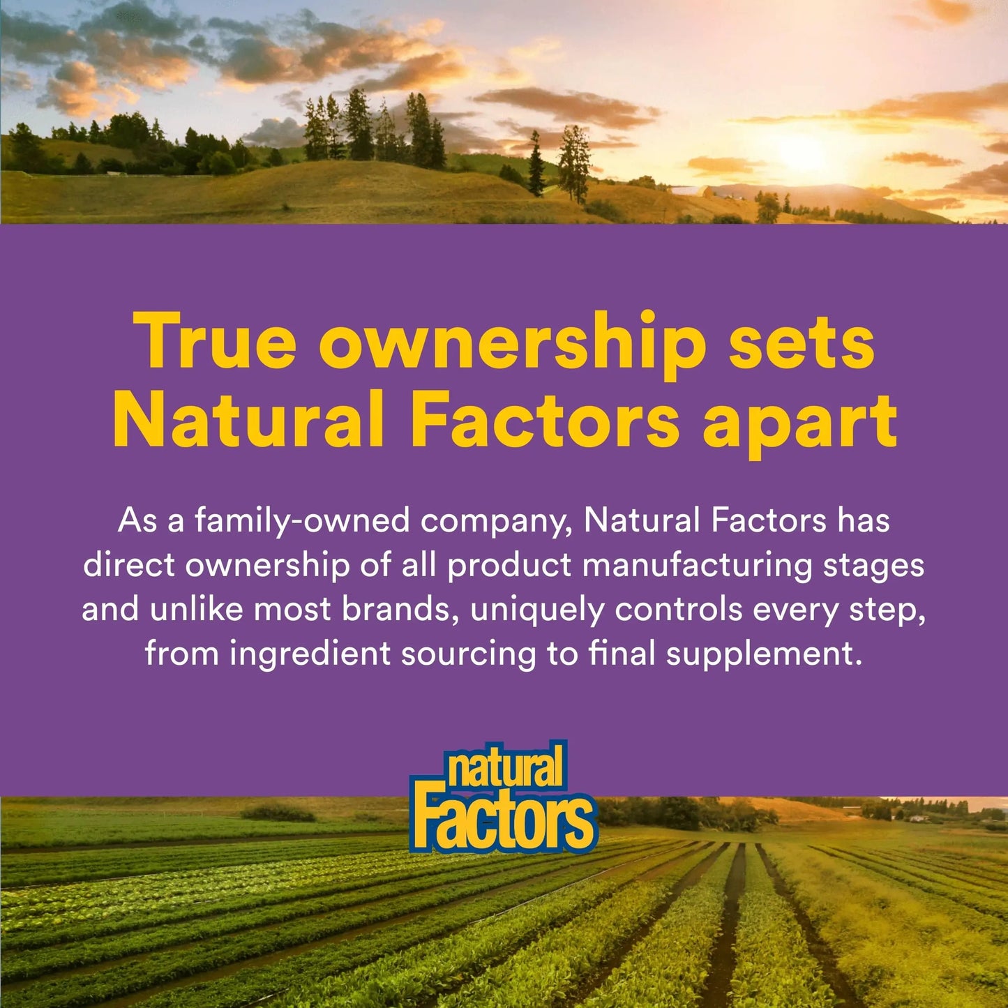 Natural Factors Pharma GABA - Dietary Supplement Supports Calm Sleep & Sleep Quality - Natural, Fast-Working Supplement Aids Focus & Brain Health - 60 Chewable Tablets (60 Servings) Natural Factors buy supplements Au