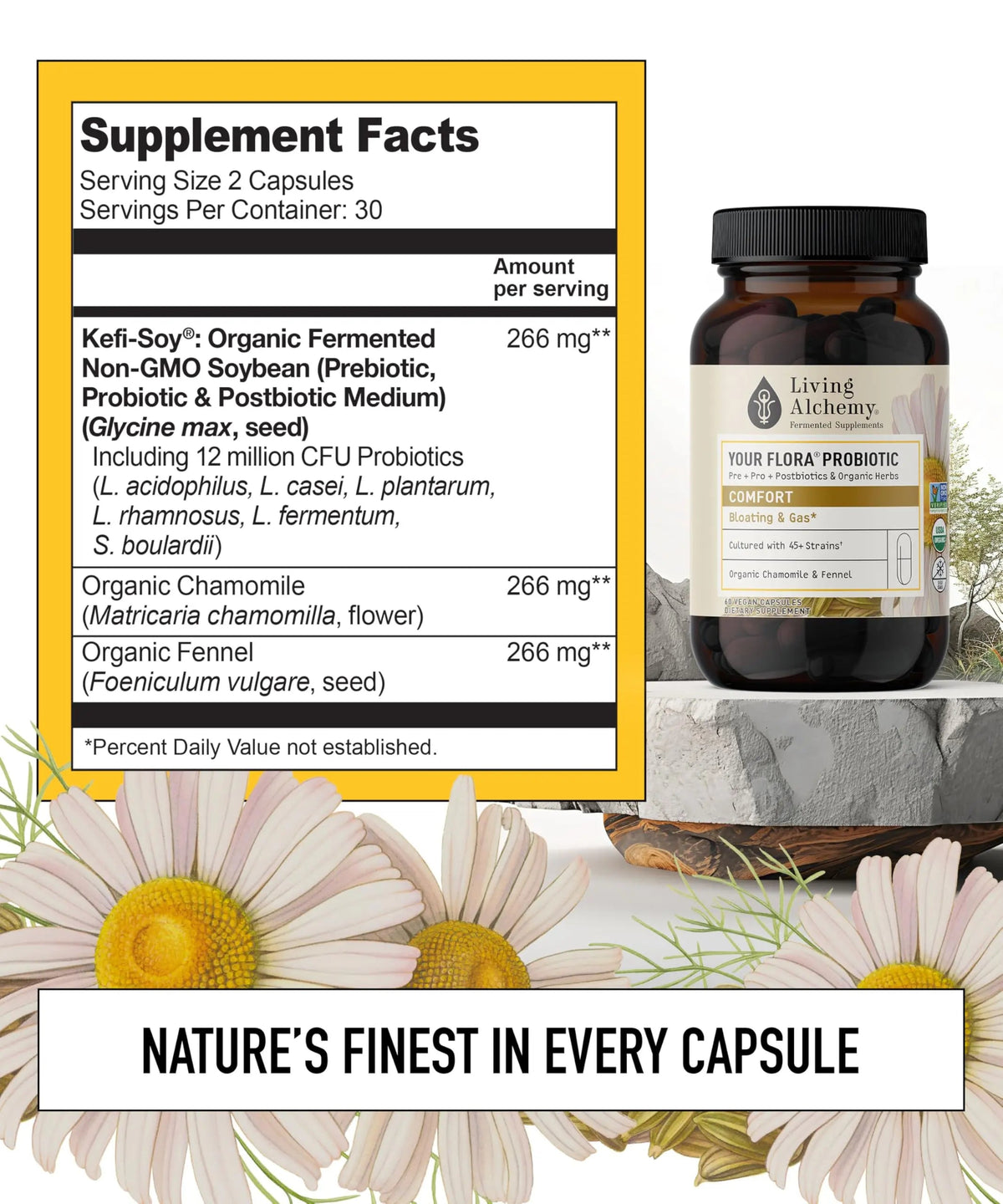 Your Flora Probiotic Comfort – Non-GMO Probiotics with Fermented Soybean, Chamomile, Fennel, Prebiotics, Digestive Enzymes for Digestion & Bloating – Prebiotics, Postbiotics – Living Alchemy, 60 Pcs Living AlchemyBuy Supplements Australia