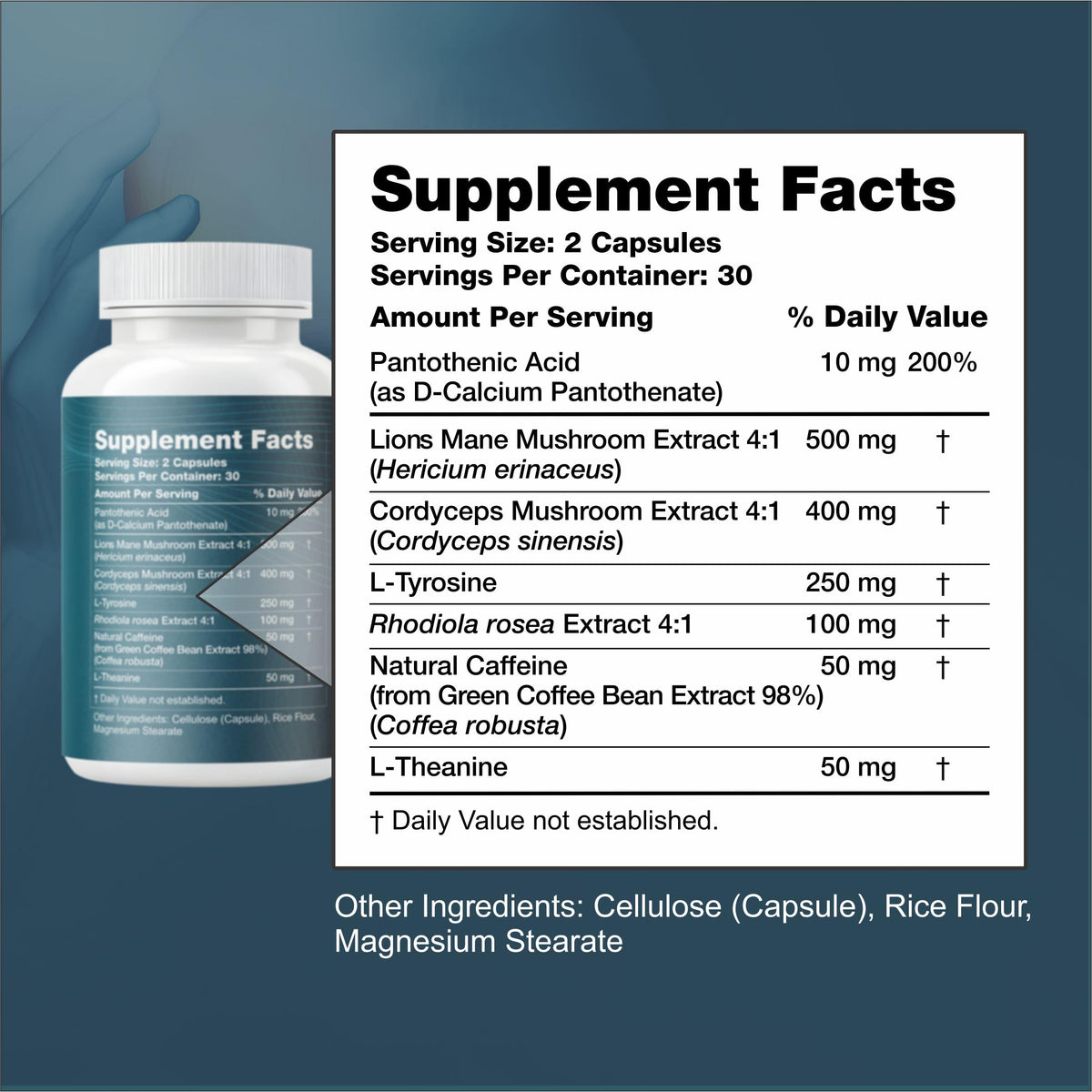 Nootropic Brain Supplement with Lion’s Mane Mushroom, Cordyceps & Rhodiola Rosea Extract - Focus and Energy Supplement, Adaptogen for Brain Health, Mental Clarity, Memory & Mood Support - 60 Capsules Reset+RiseBuy Supplements Australia