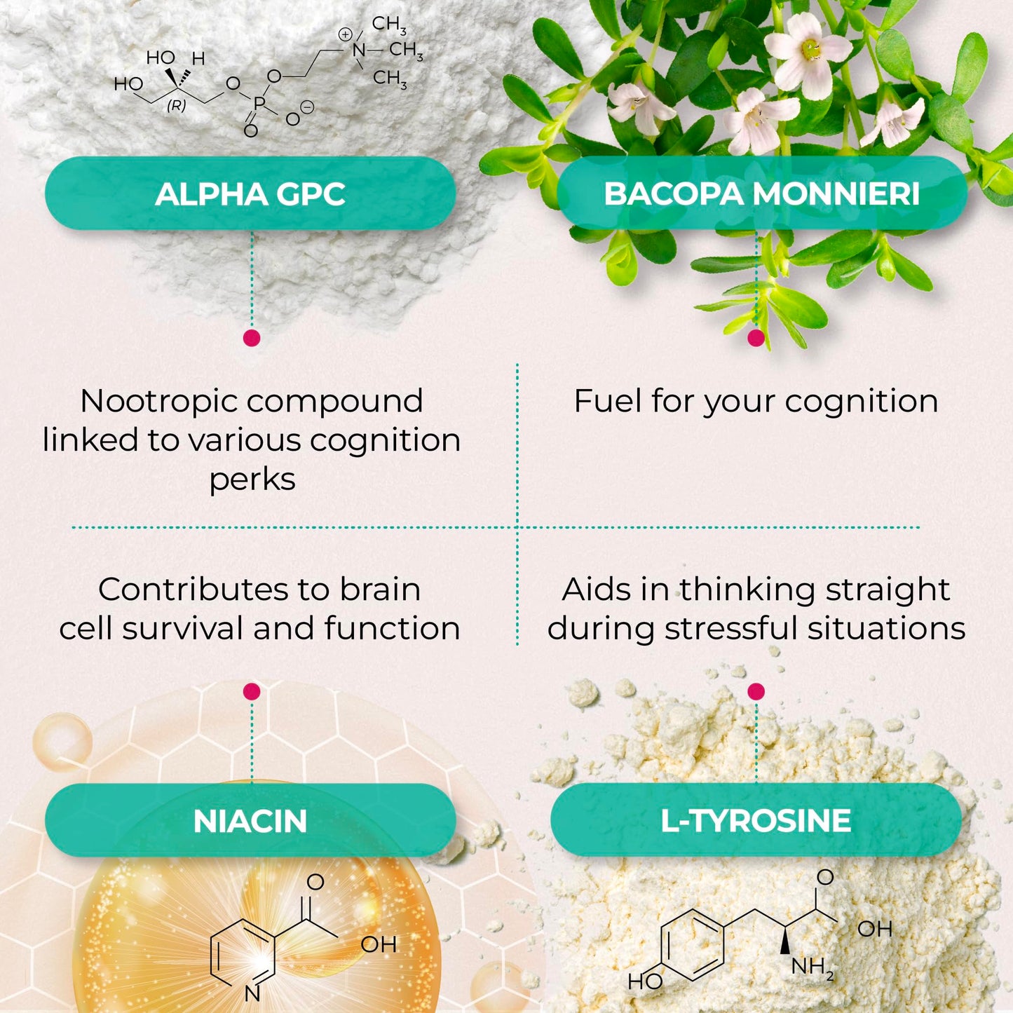 PUREHEALTH RESEARCH Ageless Brain Supplements for Memory and Focus - Nootropic Brain Health Supplement for Adults - with Bacopa Monieri, Alpha GPC, L-Tyrosine, Vitamin B6, Niacin & More, 60 Capsules PUREHEALTH RESEARCHBuy Supplements Australia
