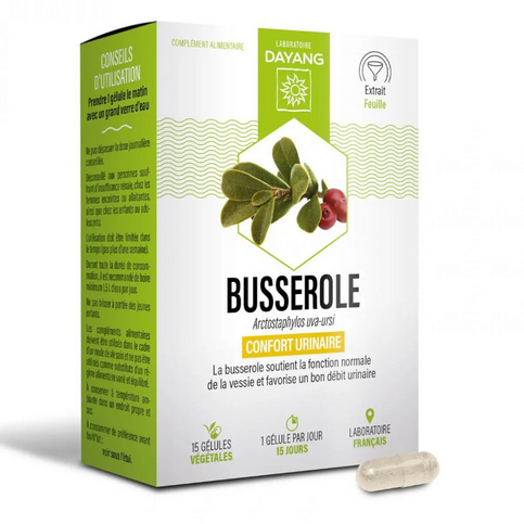 Bearberry 15 capsules - DAYANG