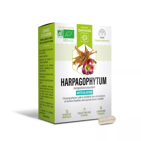 Organic Harpagophyton capsules - DAYANG