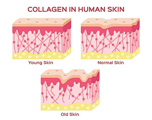 Herbal Magic's Pure & Natural Blend - Collagen Builder Capsules x 60 - Made from 17 Fruits Herbal MagicBuy Supplements Australia