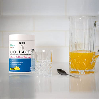 Weider Collagen Plus. Powder Preparation with Collagen peptides (Peptan), hyaluronic Acid WeiderBuy Supplements Australia