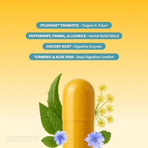 Snap Supplements Gut Health Lipase Supplement with Probiotics for Women & Men, Digestive Enzymes & Prebiotics - Turmeric, Aloe, Pylopass & Zinc, 50 Vegetarian Capsules Snap SupplementsBuy Supplements Australia