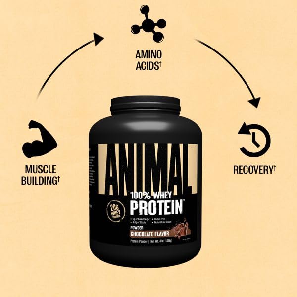Animal 100% Whey Protein Powder – Whey Blend for Pre- or Post-Workout, Recovery AnimalBuy Supplements Australia