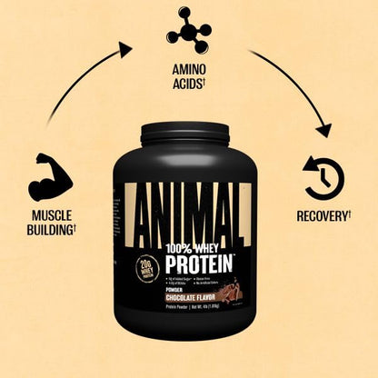 Animal 100% Whey Protein Powder – Whey Blend for Pre- or Post-Workout, Recovery AnimalBuy Supplements Australia
