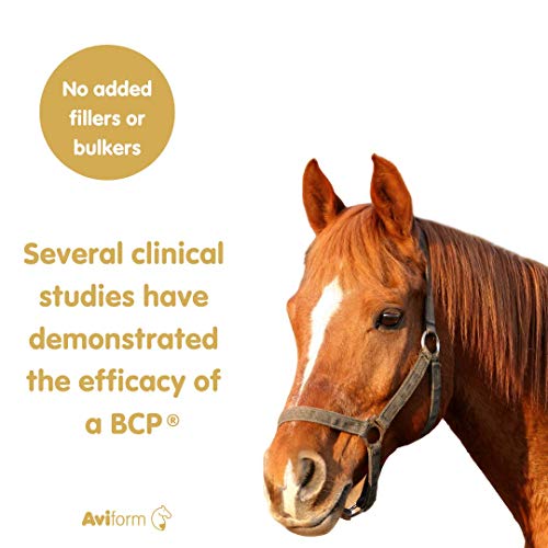 Aviform SUPPLEAZE PROGEN Horse Joint Supplement with Hydrolysed Collagen 1kg AviformBuy Supplements Australia