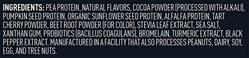 Vega Sport Premium Vegan Protein Powder, Chocolate - 30g Plant Based Protein, 5g BCAA VegaBuy Supplements Australia