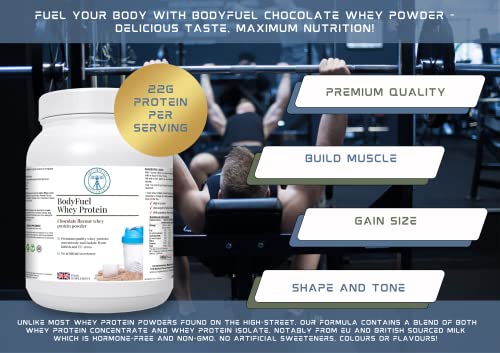 Complementary Supplements - BodyFuel Whey Protein Isolate & Concentrate Chocolate Flavour Complementary SupplementsBuy Supplements Australia