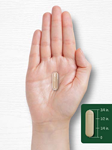 Carlyle Kudzu Root | 100 Extract Capsules | Non-GMO and Gluten Free Formula CarlyleBuy Supplements Australia
