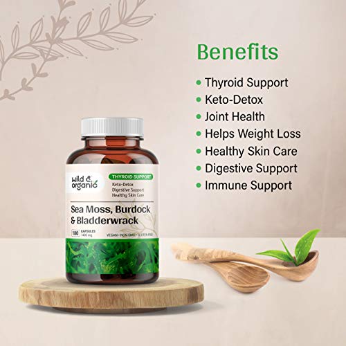 Sea Moss Capsules - 180 Caps Wildcrafted Irish Moss, Burdock Root & Bladderwrack Wild & OrganicBuy Supplements Australia