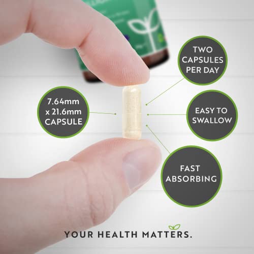 60 Billion CFU Probiotic Cultures - Scientifically Backed Lactospore® for Good Gut Flora NutravitaBuy Supplements Australia