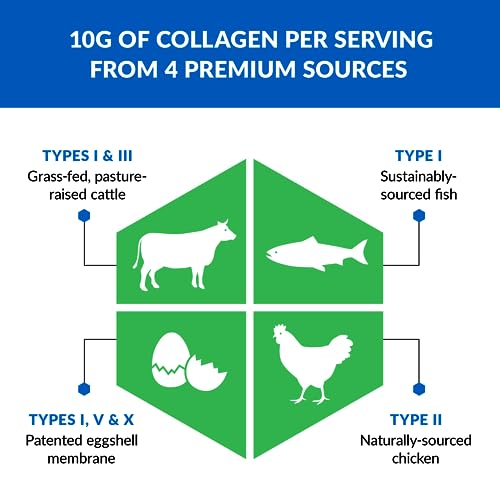 BioTrust Ageless Multi Collagen Peptides Powder – 5 Types (I, II, III, V, X) – Fruit Punch BioTrustBuy Supplements Australia