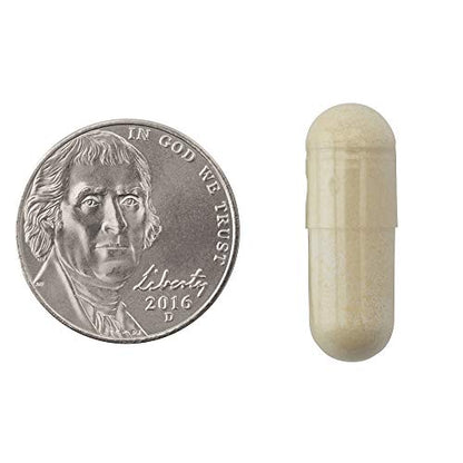 Natrol Carb Intercept with Phase 2 Carb Controller Capsules, White Kidney (Pack of 12) NatrolBuy Supplements Australia