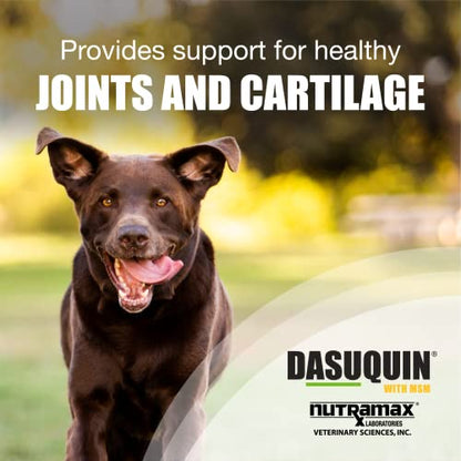 Nutramax Laboratories Dasuquin with MSM Joint Health Supplement for Large Dogs Nutramax LaboratoriesBuy Supplements Australia