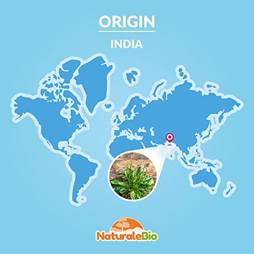 Organic Psyllium Husk - 99% Purity - 200g. Pure & Natural Psyllium Seed Husks NaturaleBioBuy Supplements Australia