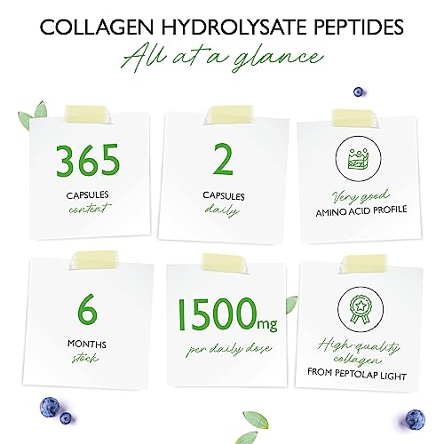 Collagen - 365 Capsules - 1500 mg per Daily Serving - Premium: 100% Bovine Collagen Vit4everBuy Supplements Australia
