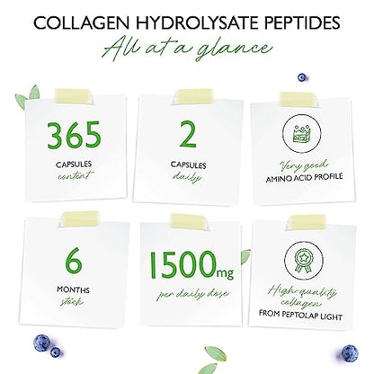 Collagen - 365 Capsules - 1500 mg per Daily Serving - Premium: 100% Bovine Collagen Vit4everBuy Supplements Australia