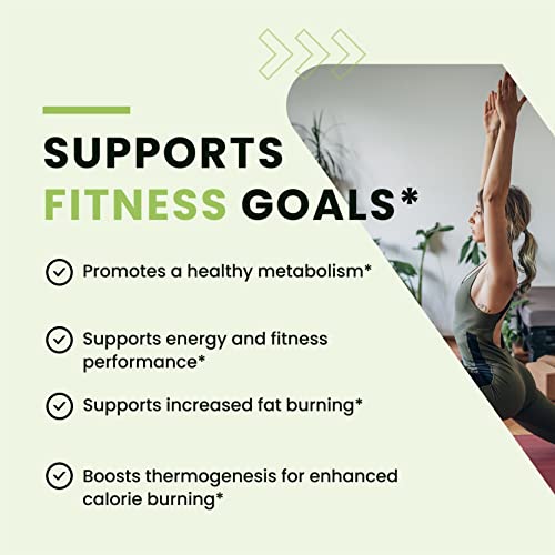 Green Tea Weight Loss Pills with Green Coffee Bean Extract | Belly Fat Burner, Metabolism Nobi NutritionBuy Supplements Australia