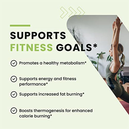 Green Tea Weight Loss Pills with Green Coffee Bean Extract | Belly Fat Burner, Metabolism Nobi NutritionBuy Supplements Australia