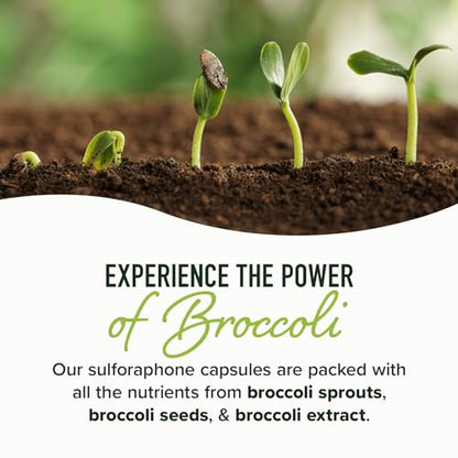 20MG Sulforaphane | From Broccoli Sprouts & Seed Extract | 565MG Microbeadlet SMNutritionBuy Supplements Australia