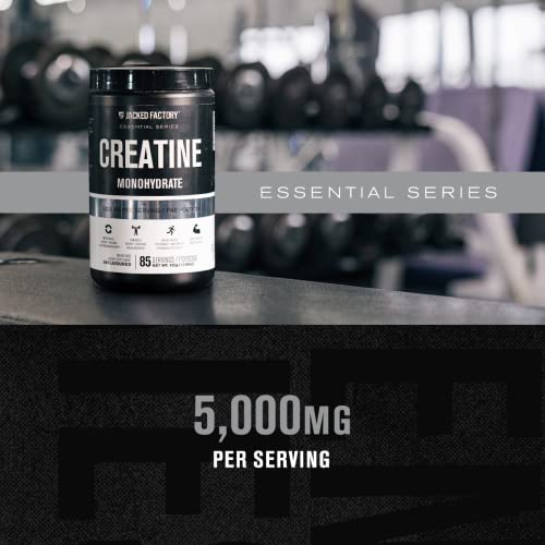 Jacked Factory Creatine Monohydrate Powder 425g - Creatine Supplement for Muscle Jacked FactoryBuy Supplements Australia