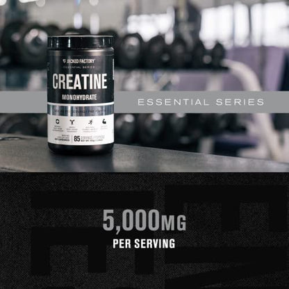 Jacked Factory Creatine Monohydrate Powder 425g - Creatine Supplement for Muscle Jacked FactoryBuy Supplements Australia