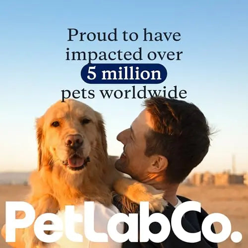 PetLab Co. Probiotics for Dogs, Support Gut Health, Occasional Diarrhea, Digestive Health & Seasonal Allergies - Salmon Flavor - Packaging May Vary - 30 Soft Chews PetLab Co.Buy Supplements Australia