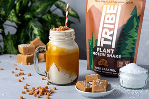 TRIBE Vegan Protein Powder - Salted Caramel - Pea and Rice Protein Blend - Vegan TRIBEBuy Supplements Australia