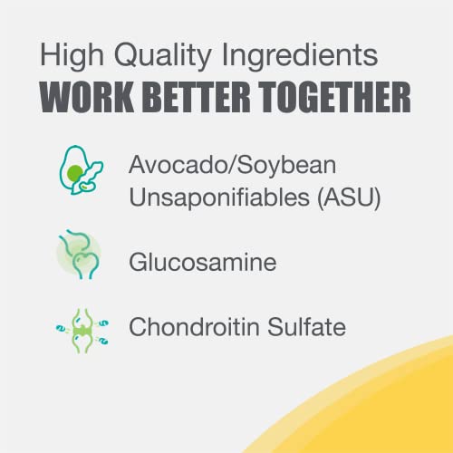 Nutramax Laboratories Dasuquin with MSM Joint Health Supplement for Large Dogs Nutramax LaboratoriesBuy Supplements Australia