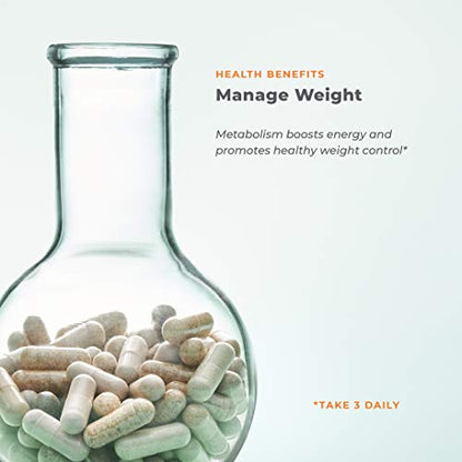 Metabolism - Weight Control Support & Energy Boosting Supplement - Natural Appetite LifeSeasonsBuy Supplements Australia