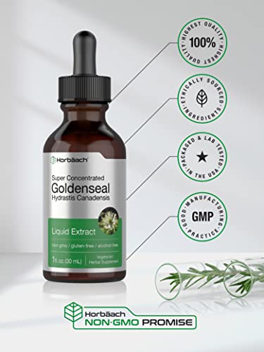 Goldenseal Root Extract Liquid | 1 fl oz Tincture | Super Concentrated | Alcohol Free HorbäachBuy Supplements Australia