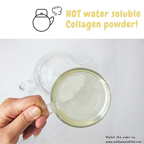 Cleanest Marine Collagen Peptides | Wellness Lab 454g | Type I,III | Highest Bioavailability Hydrolysed Protein Wellness LabBuy Supplements Australia