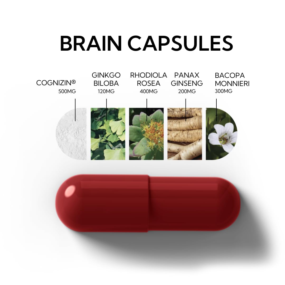 Neutonic Nootropic Brain Supplement | 1 Month Supply 90 Capsules | for Men and Women | Support Memory, Mental Clarity, Cognitive Function | Boost Focus, Energy, Brain Health NeutonicBuy Supplements Australia