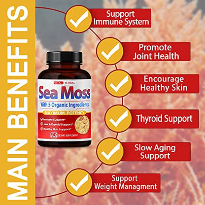 VITAL HERBAL Irish Sea Moss Capsules Equivalent to 5450mg - Maximum Potency VITAL HERBALBuy Supplements Australia