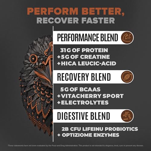 Birdman Falcon Performance Vegan Protein Powder, 31g Protein, 5g Creatine, 5g BCAA BIRDMANBuy Supplements Australia