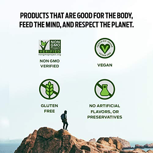 Vega Protein Made Simple, Dark Chocolate - Stevia Free Vegan Protein Powder VegaBuy Supplements Australia